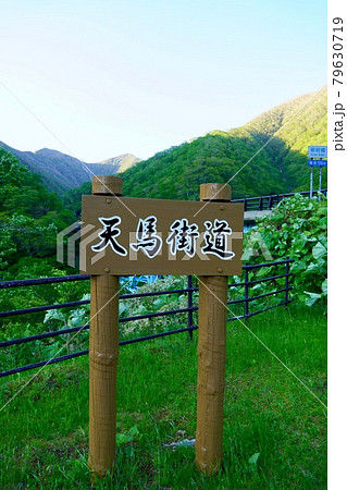 天馬街道・国道236号線 79630719