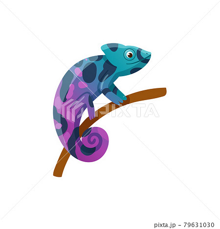 Colorful Exotic Small Lizard Reptile Chameleon のイラスト素材