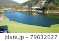水草の生えた津風呂ダムの湖畔 79632027
