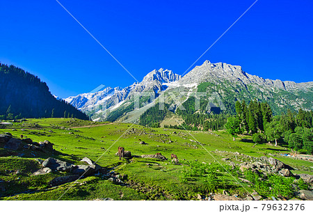 Beautiful mountain scenery. Blue sky, white clouds, horses grazing. Beautiful mountain scenery. Blue sky, white clouds, horses grazing. 79632376