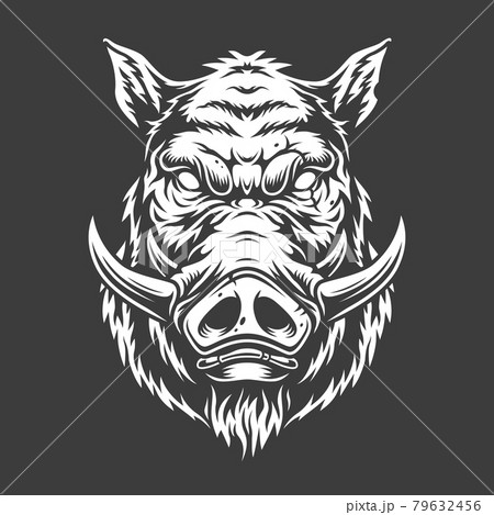 Boar head in black and white color style 79632456