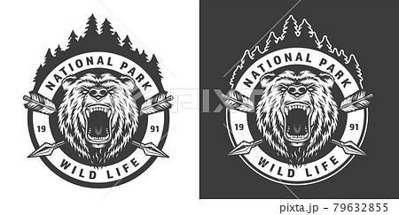 Vintage monochrome national park round emblem Vintage monochrome national park round emblem 79632855