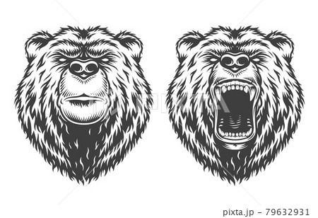 Vintage logo style bear 79632931