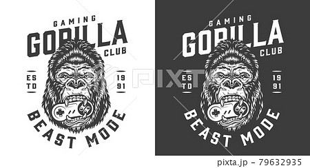 Vintage monochrome gaming club logo 79632935