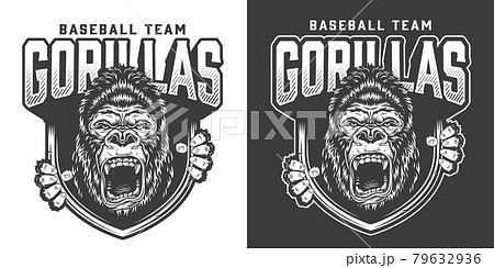 Baseball team angry gorilla mascot emblem 79632936
