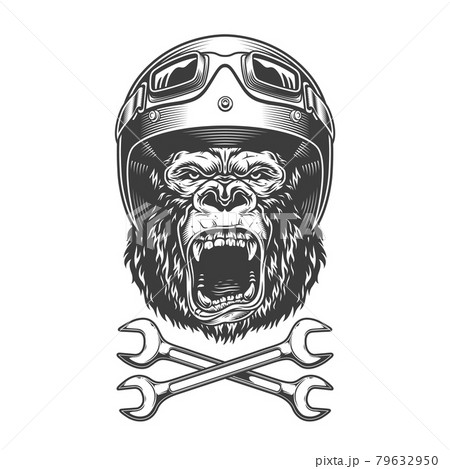 Vintage monochrome angry gorilla head 79632950