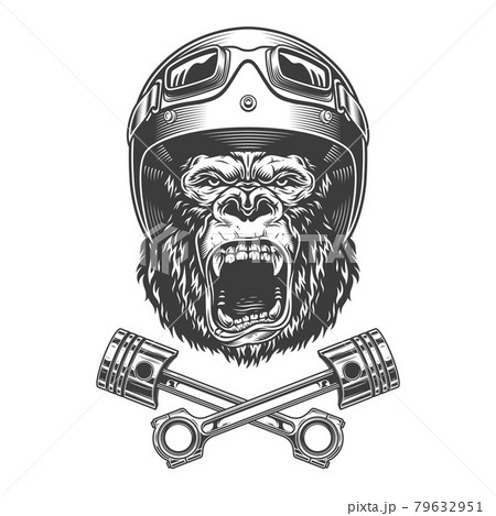 Ferocious gorilla head in motorcycle helmet 79632951