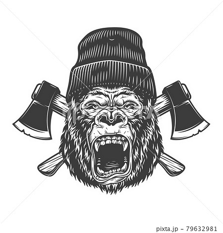 Angry gorilla head in lumberjack hat 79632981