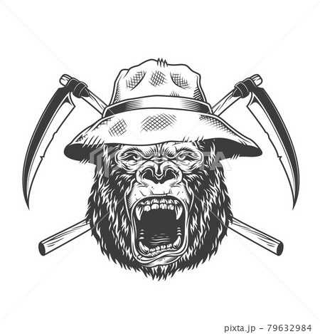 Ferocious gorilla head in panama hat 79632984