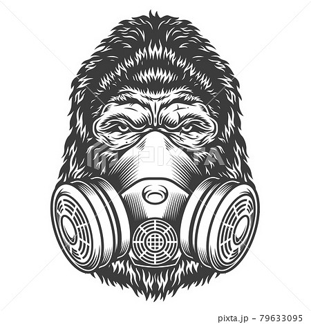 Vintage monochrome gorilla head Vintage monochrome gorilla head 79633095