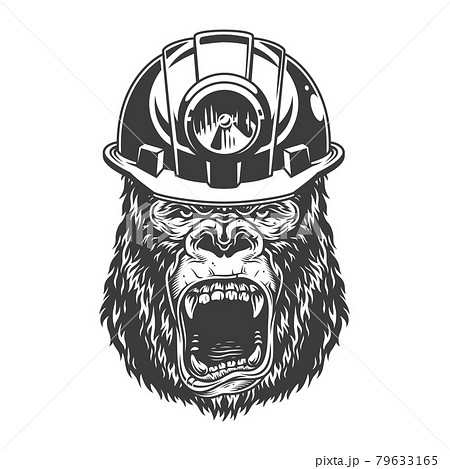 Angry gorilla in monochrome style Angry gorilla in monochrome style 79633165