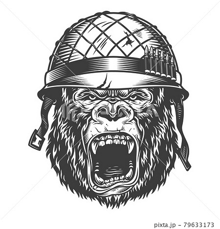Angry gorilla in monochrome style Angry gorilla in monochrome style 79633173
