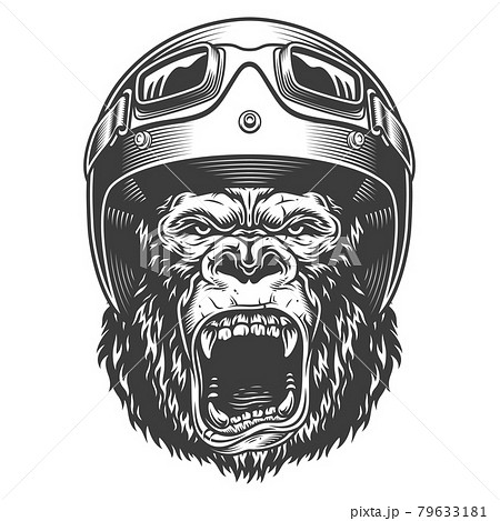 Angry gorilla in monochrome style Angry gorilla in monochrome style 79633181