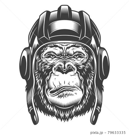 Serious gorilla in monochrome style Serious gorilla in monochrome style 79633335