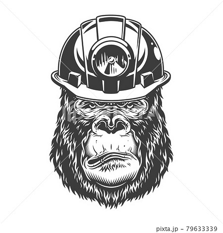 Serious gorilla in monochrome style Serious gorilla in monochrome style 79633339
