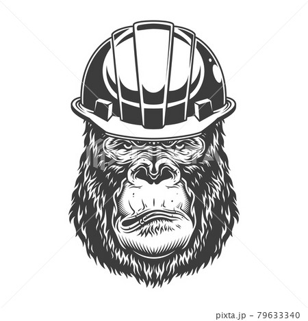Serious gorilla in monochrome style Serious gorilla in monochrome style 79633340