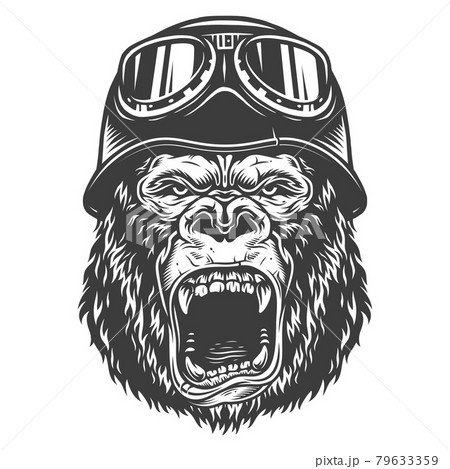 Head of gorilla 79633359