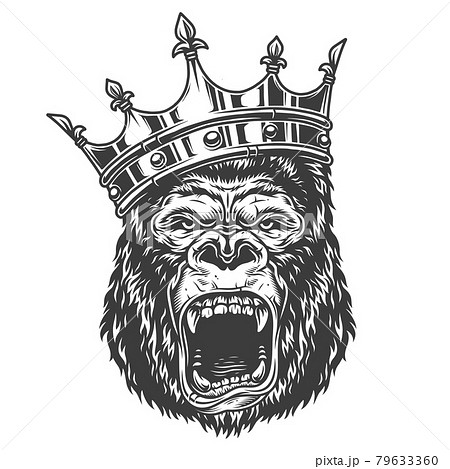 Head of gorilla 79633360