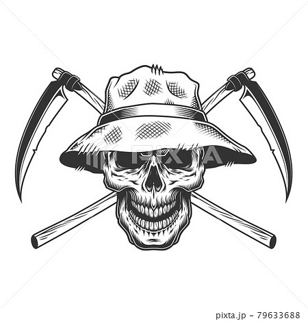 Vintage skull in panama hat Vintage skull in panama hat 79633688