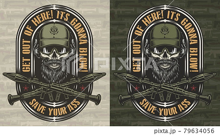 Vintage colorful military and army label 79634056