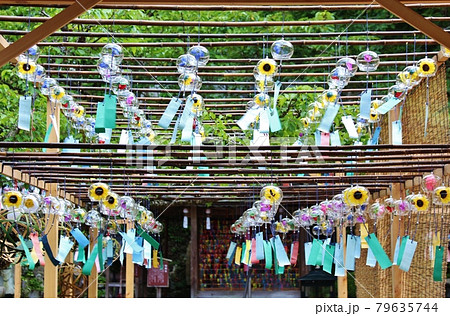 京都・正寿院　夏の風鈴まつり 79635744
