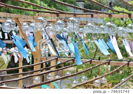 京都・正寿院　夏の風鈴まつり 79635745