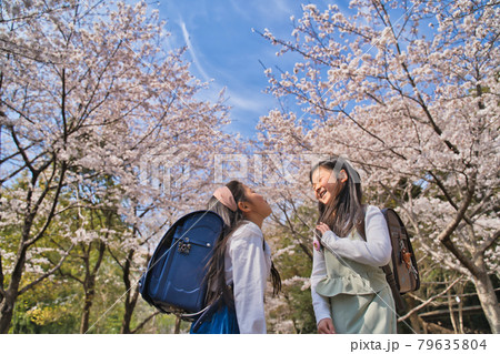 新一年生、桜の木の下で登下校 新一年生、桜の木の下で登下校 79635804