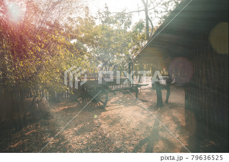 Sun rays through the land of simple, rustic and down to basic living hut in a village in northern of Thailand Asia a traditional Thai-style wooden cart in front of house 79636525