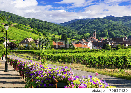 Picturesque countryside of Alsace wine region of France Picturesque countryside of Alsace wine region of France 79637429