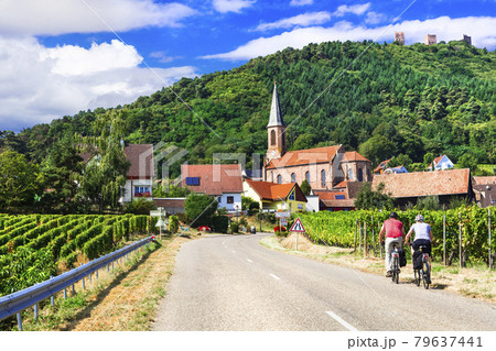 Picturesque countryside of Alsace wine region of France 79637441