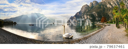 wonderful Lake Garda in autumn colors. Italy, Trentino 79637461