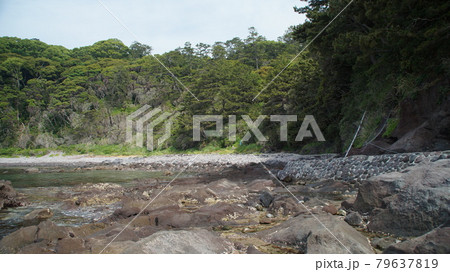 神奈川県足柄下郡真鶴町の真鶴岬の風景 79637819