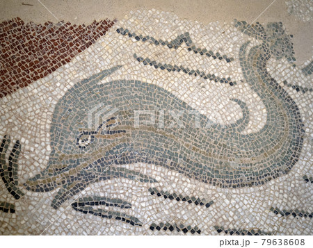 dolphin Ancient Roman mosaic of Villa del Casale, Sicily 79638608