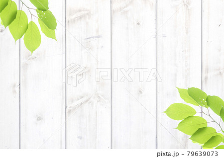 白い木目と新緑の葉っぱの背景素材のイラスト素材