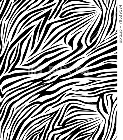 zebra skin texture safari style zebra skin texture safari style 79639184