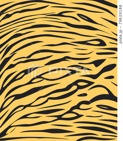 tiger skin texture safari style tiger skin texture safari style 79639188
