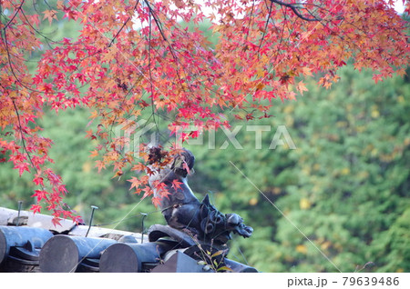 神蔵寺の紅葉 79639486