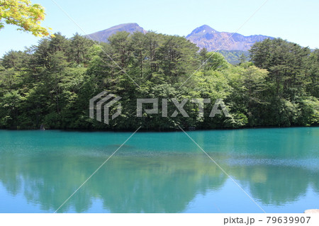 毘沙門沼から見た磐梯山 79639907