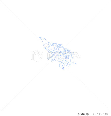 ふうちょう座・星座絵・南天の星座 79640230