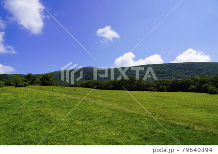 爽やかな初秋の吾妻山 79640394