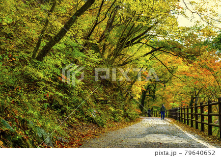 山梨県 紅葉の御嶽昇仙峡 薄明光線と一本道 山梨県 紅葉の御嶽昇仙峡 薄明光線と一本道 79640652