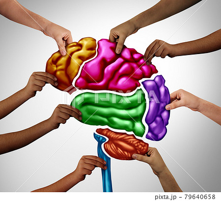 Community Teachers Community Teachers 79640658