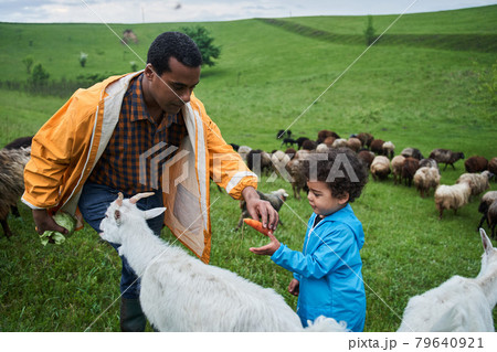 Man giving carrot to his son that he feeding goat with it 79640921