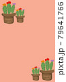 観葉植物 盆栽 ボンサイ 79641766