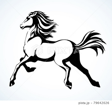 Galloping horse. Vector drawing icon Galloping horse. Vector drawing icon 79642026