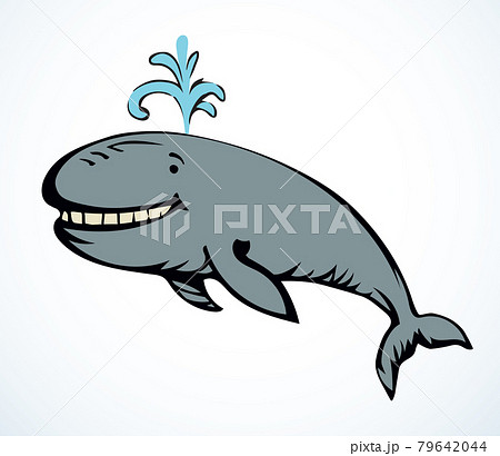 Whale. Vector drawing icon sign 79642044