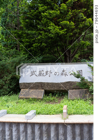 武蔵野の森公園入口（7月/府中市、三鷹市、調布市） 79644693