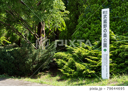 武蔵野の森公園入口(7月/府中市、三鷹市、調布市) 武蔵野の森公園入口(7月/府中市、三鷹市、調布市) 79644695