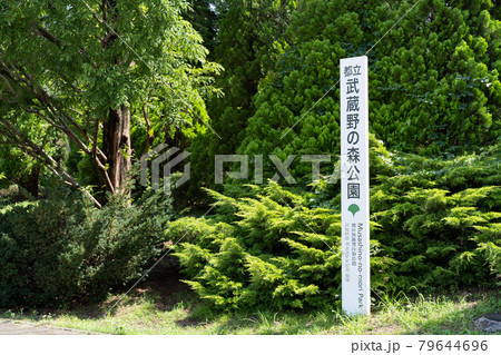 武蔵野の森公園入口(7月/府中市、三鷹市、調布市) 武蔵野の森公園入口(7月/府中市、三鷹市、調布市) 79644696