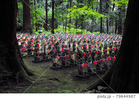 金剛輪寺　千体地蔵　滋賀県愛知郡愛荘町 79644987
